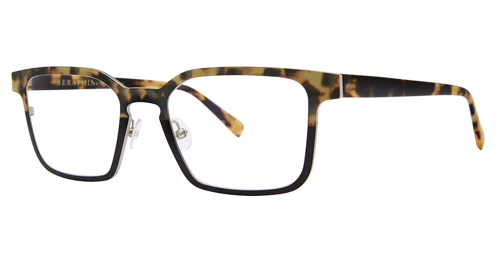 BLACK TORTOISE