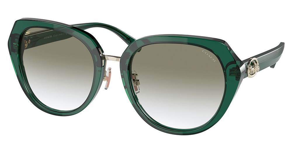 TRANSPARENT EMERALD GREE / LIGHT GREY GRADIENT
