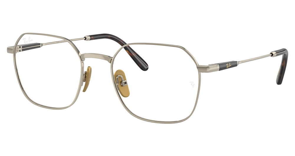 Ray-Ban RX8794 JIM TITANIUM round eyeglasses in Arista