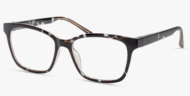 BLUE BURGUNDY TORTOISE