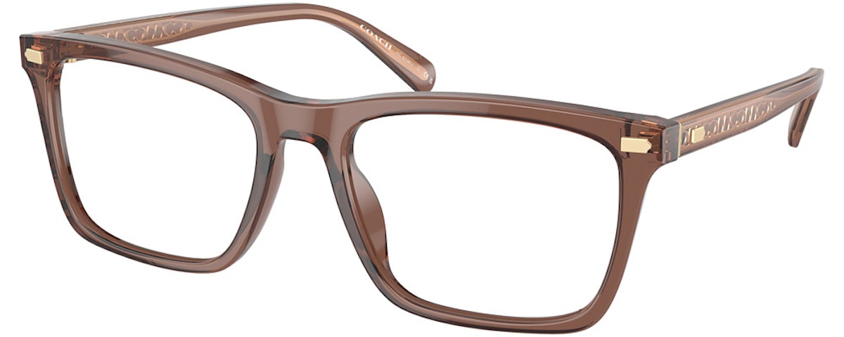 TRANSPARENT PECAN