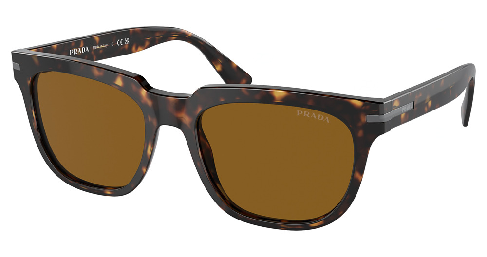 TORTOISE / BROWN