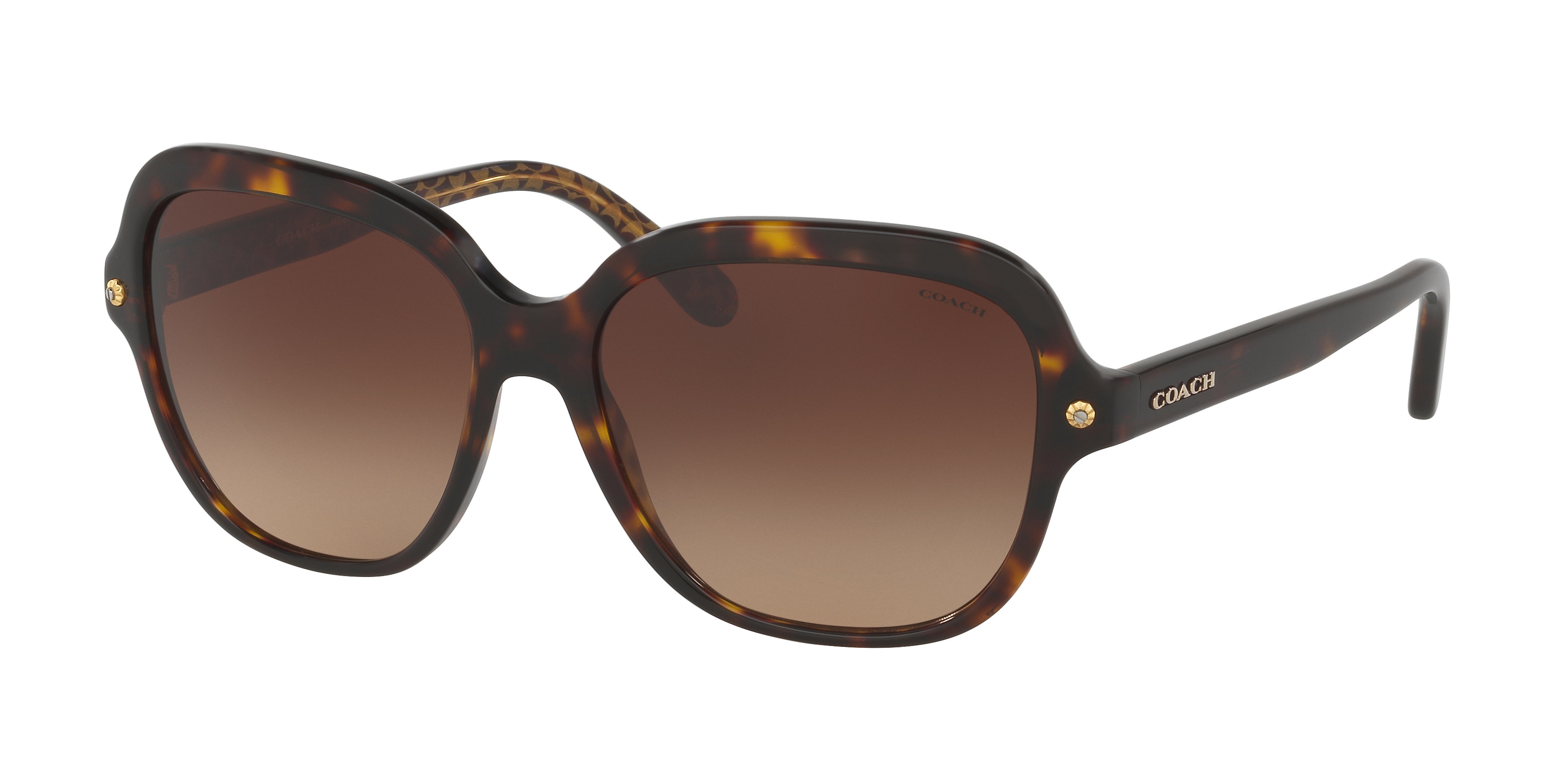 DARK TORT/DARK TORT GOLD SIG C