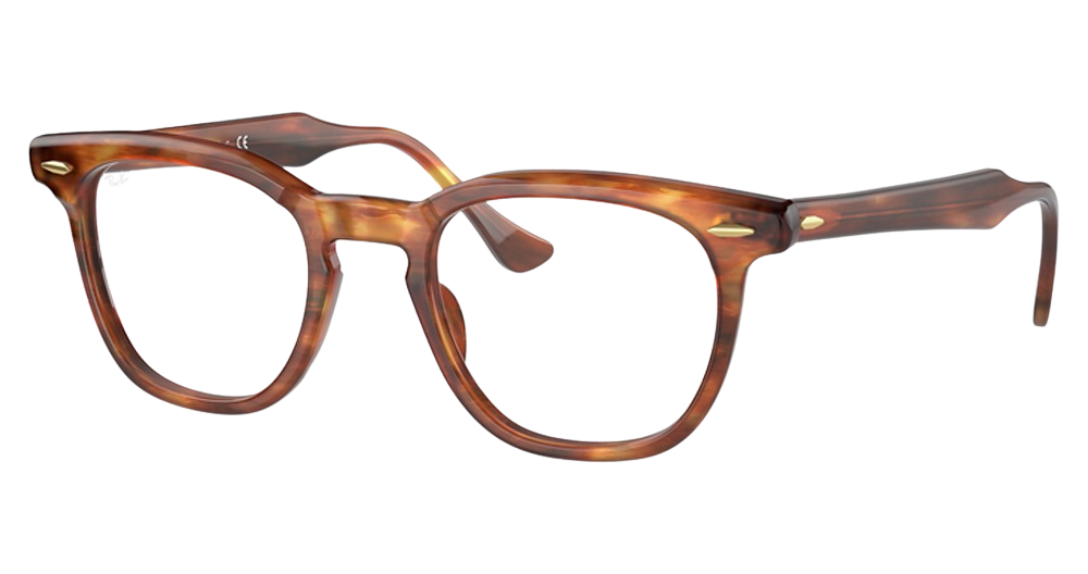 Ray-Ban RX5398 HAWKEYE round eyeglasses in Striped Havana