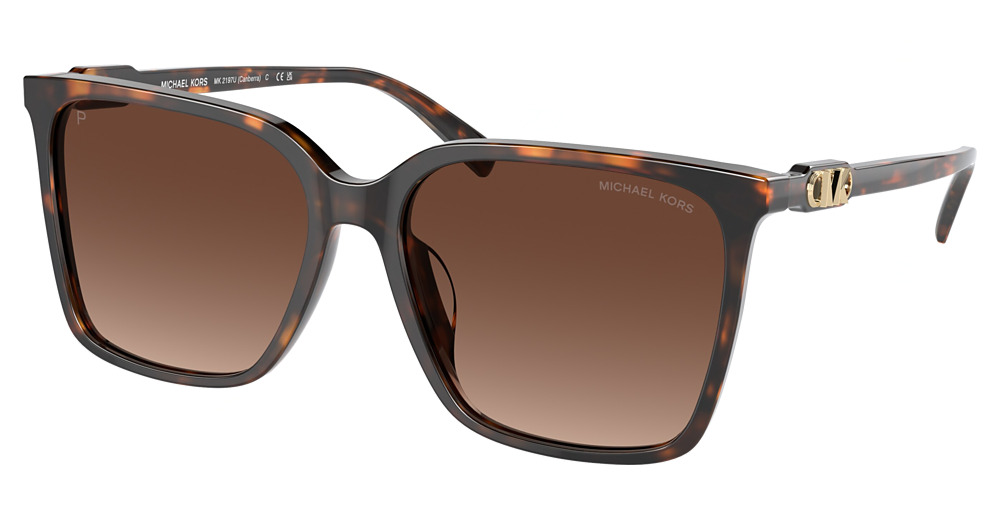 DARK TORTOISE / BROWN GRADIENT POLAR