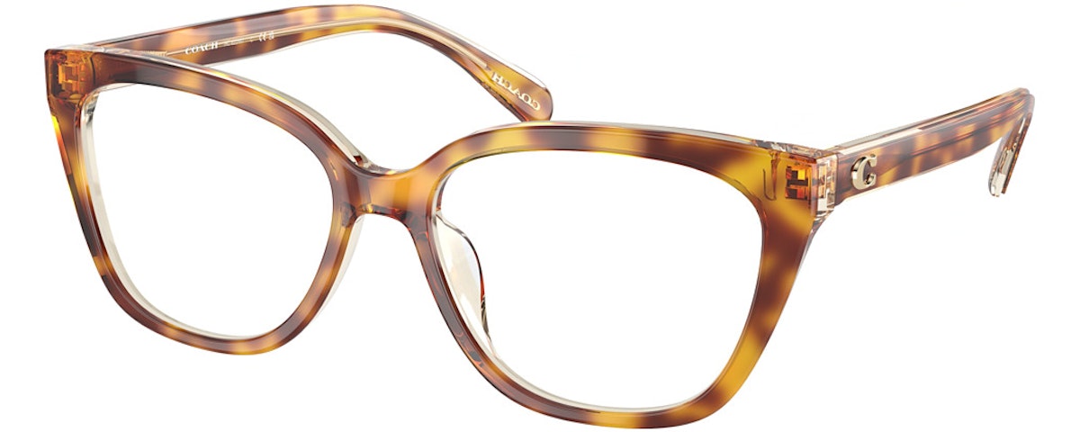 DARK TORTOISE / CANARY