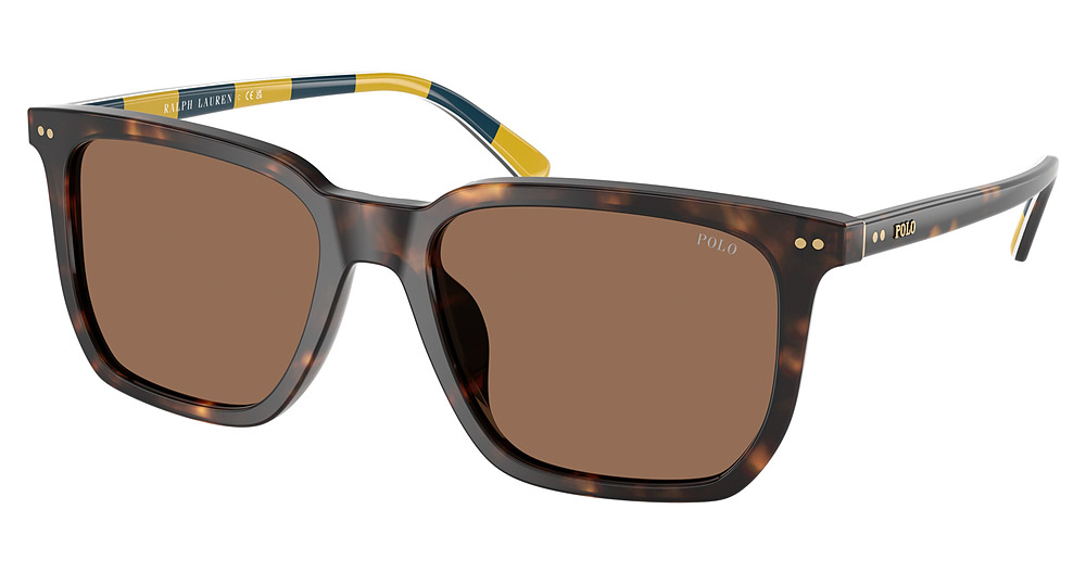 SHINY DARK HAVANA / DARK BROWN