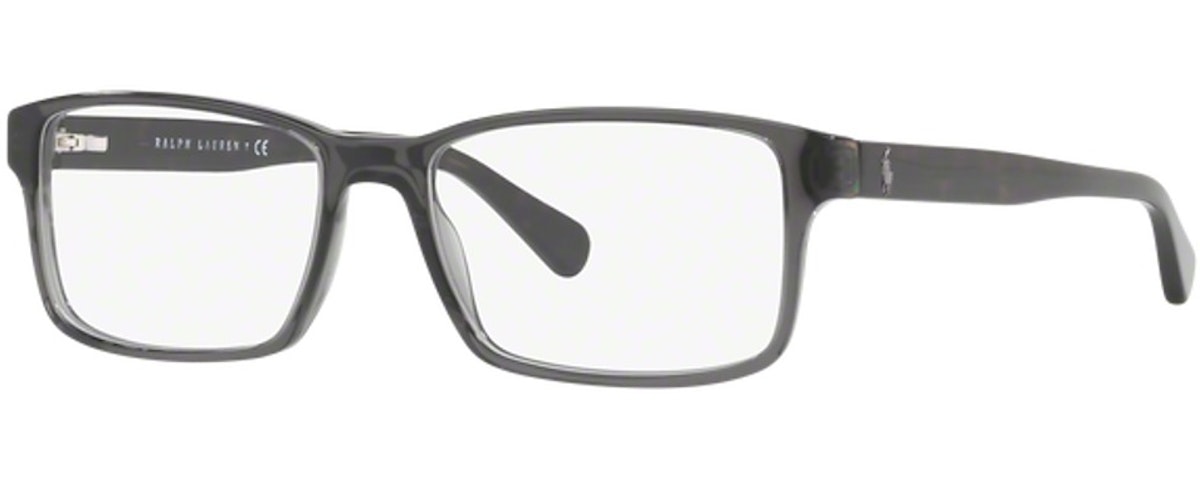 SHINY TRANSPARENT GREY