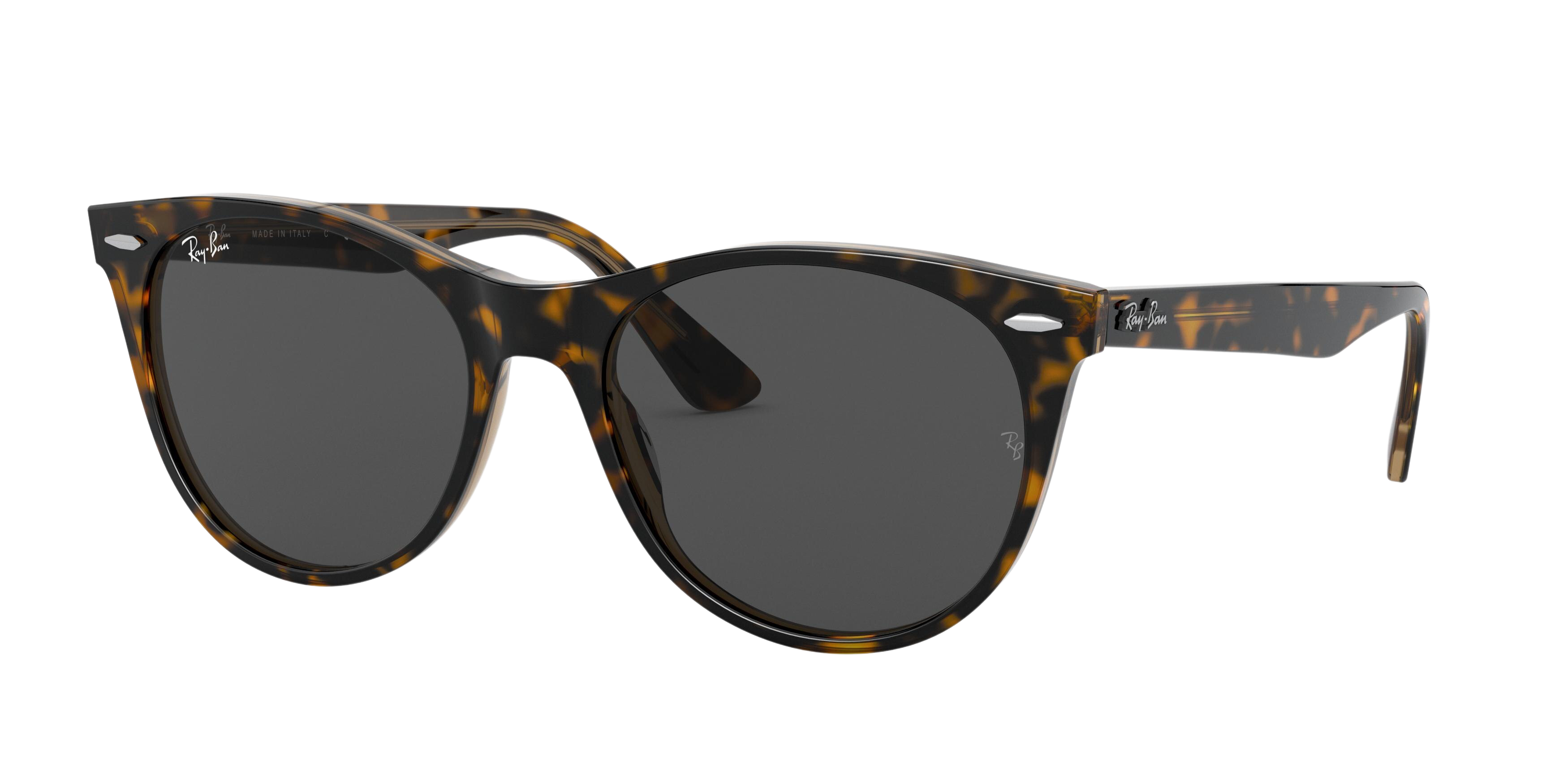 Ray-Ban RB2185 round sunglasses in Havana on Trasparent Light Bro