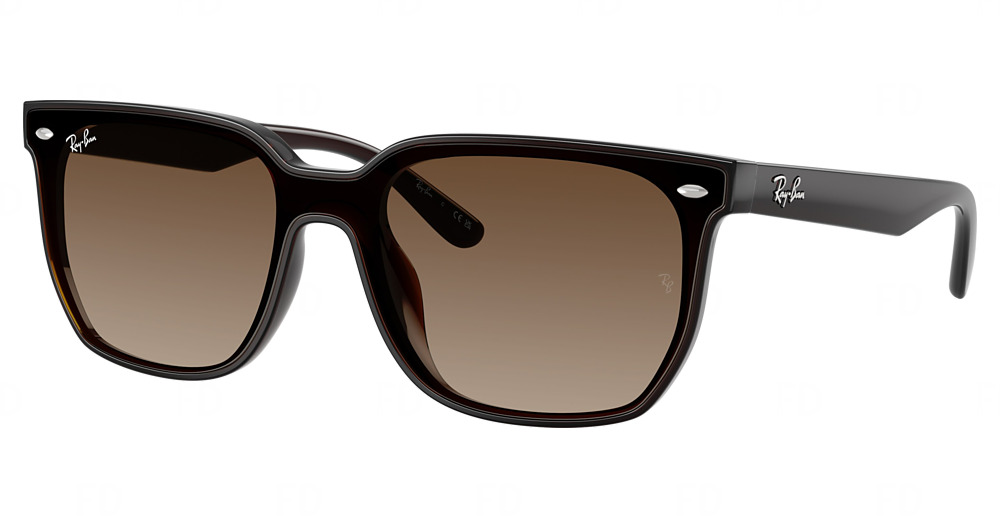 Ray-Ban RB4466D square sunglasses in Transparent Dark Brown/Brown Gradient