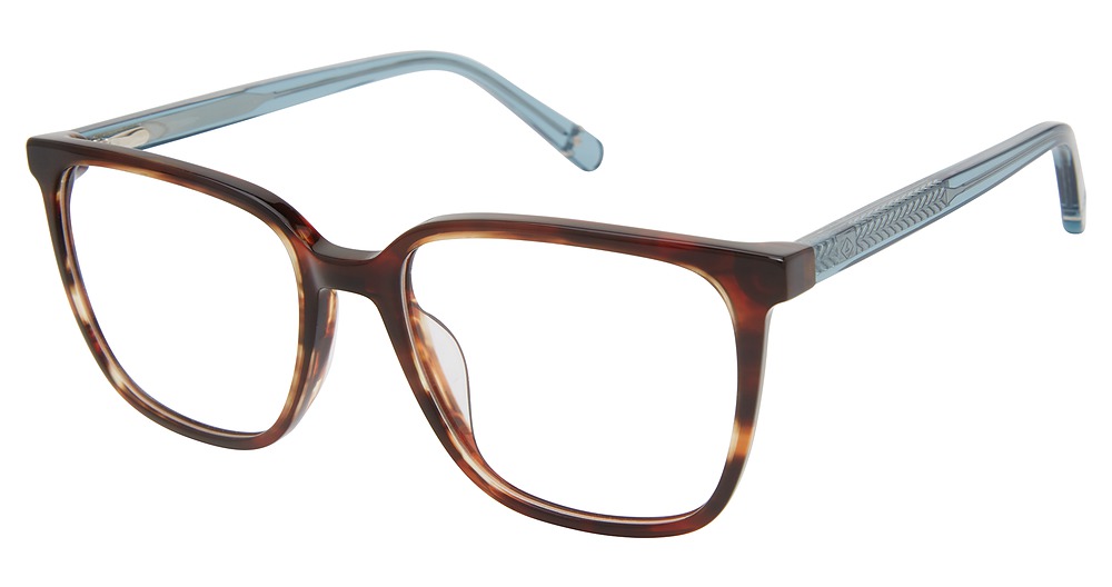 TORTOISE/BLUE