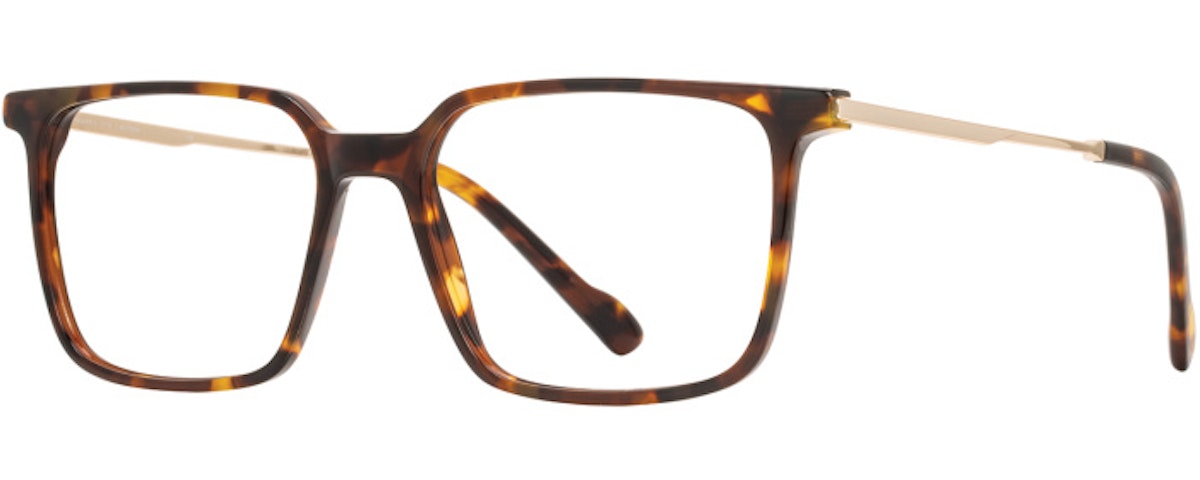 Tortoise / Gold