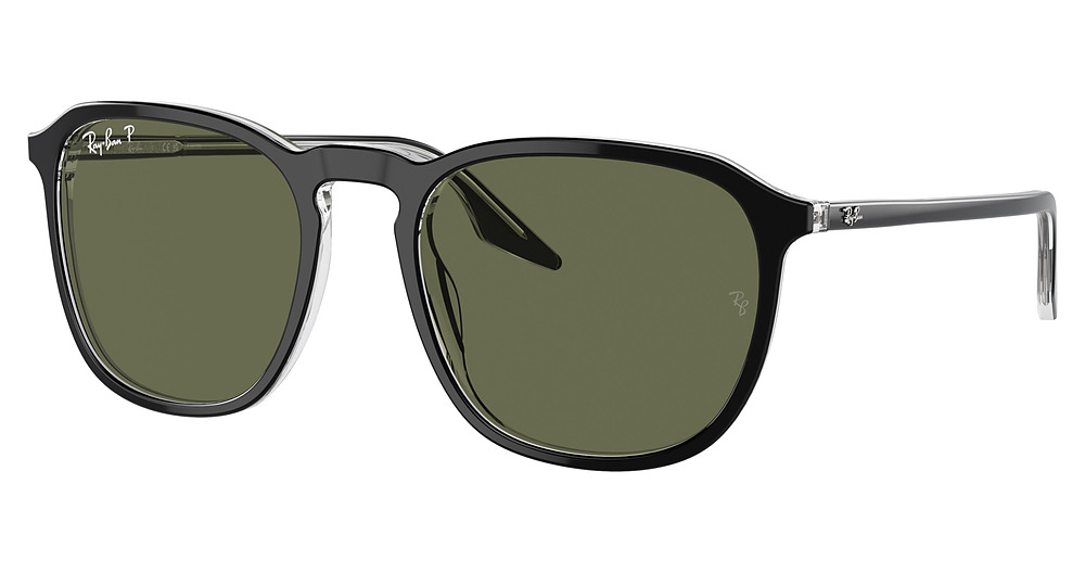 Ray-Ban RB2203 round sunglasses in Black on Transparent/Polarized Green