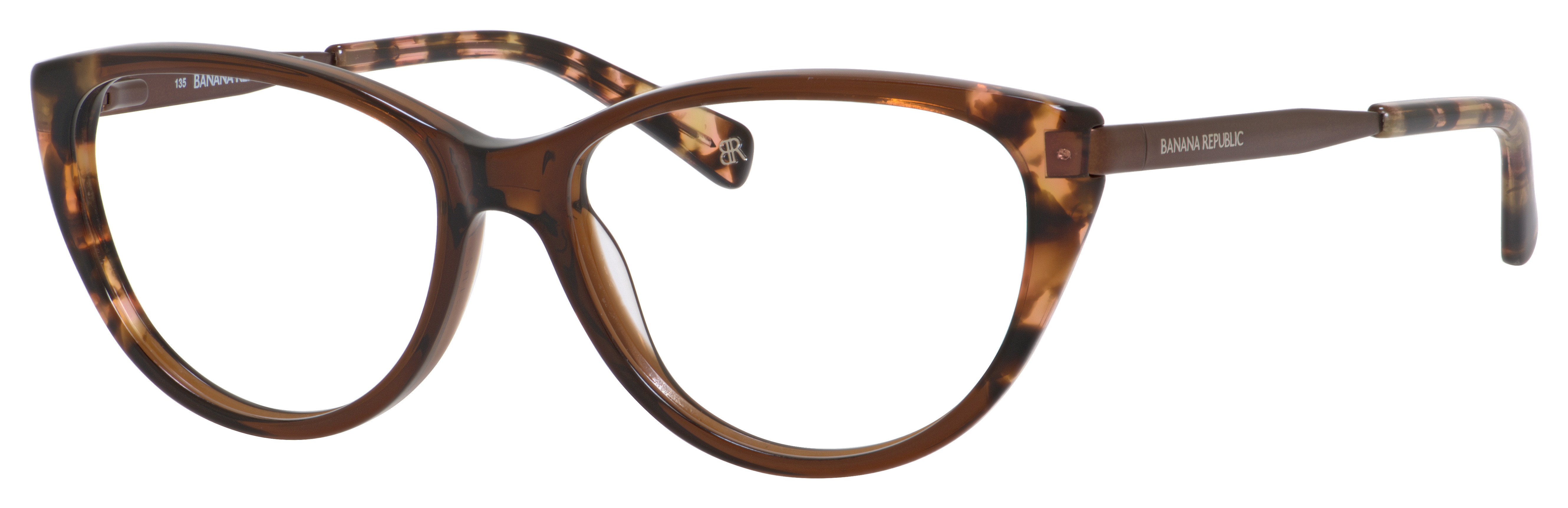 Transparent Brown Tortoise