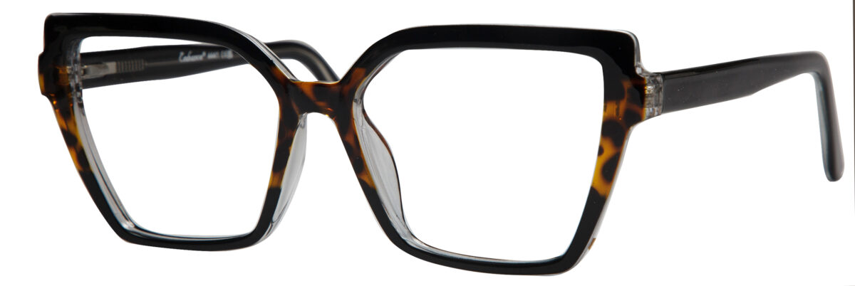 Black/Tortoise