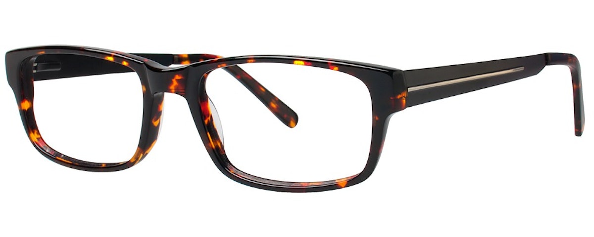 tortoise/black