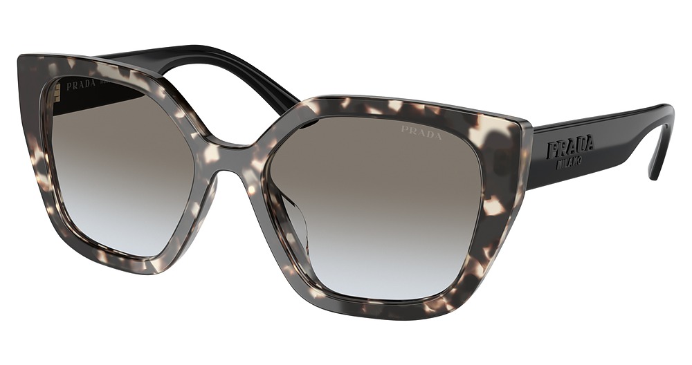 TALC TORTOISE / GREY GRADIENT