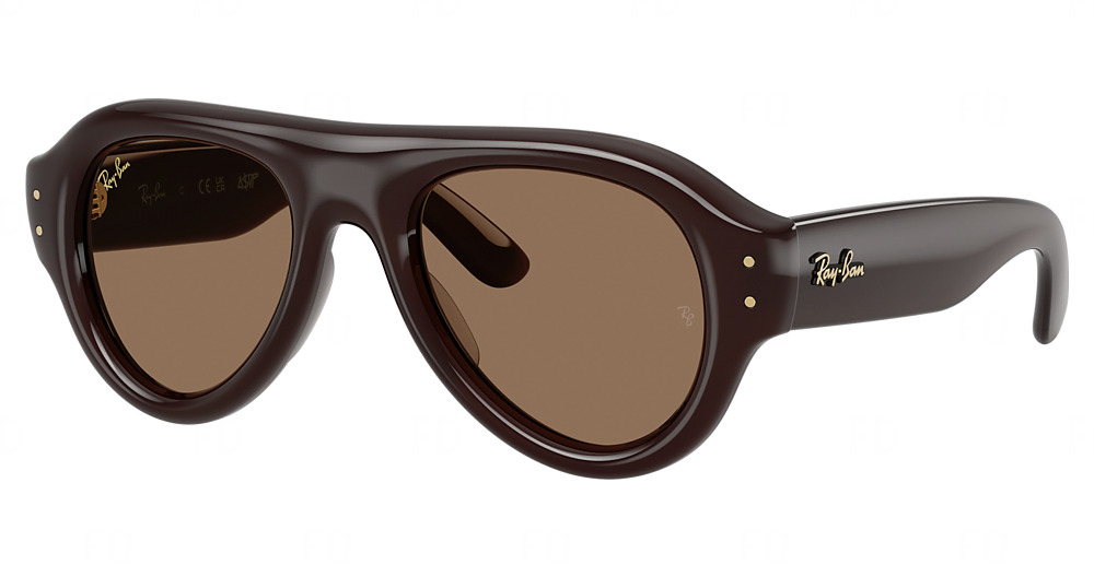 Ray-Ban RB4925 aviator sunglasses in Transparent Dark Brown/Dark Brown Pa Bio