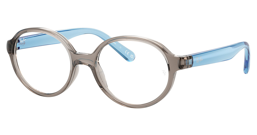 Ray-Ban RY1905 round eyeglasses in Transparent Grey