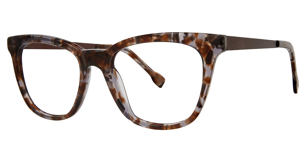brown tortoise/brown