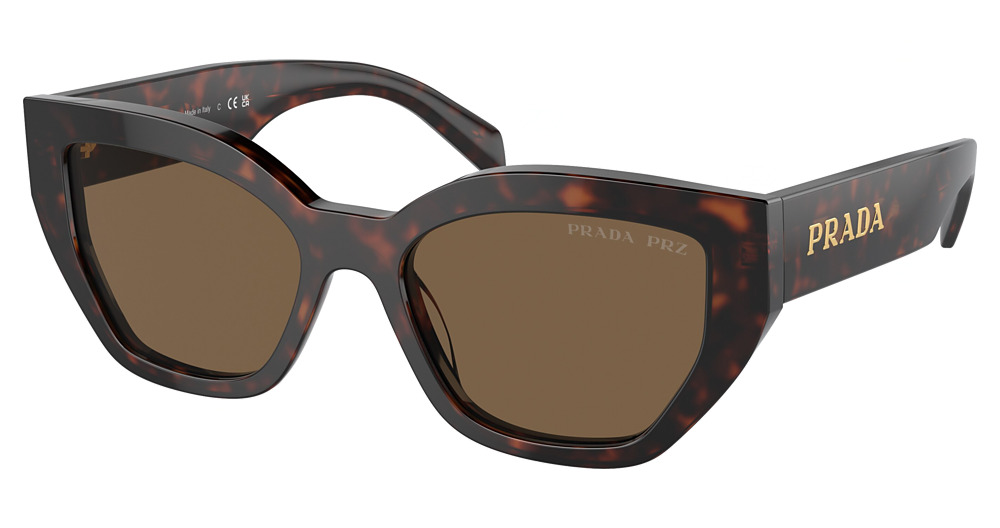 BRIAR TORTOISE / DARK BROWN