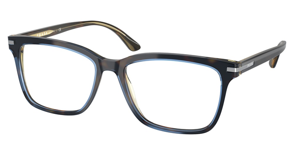 MORO TURQUOISE TORTOISE