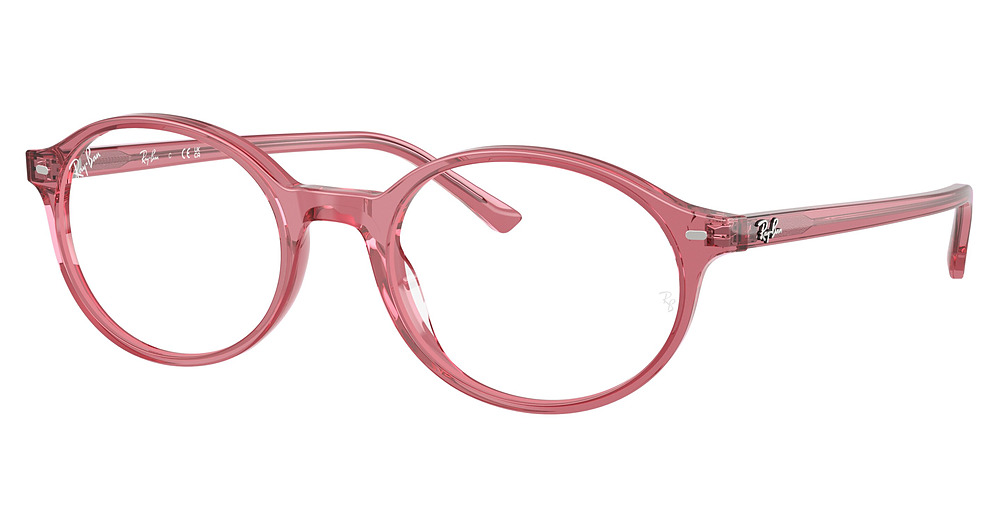 Ray-Ban RX5429 GERMAN round eyeglasses in Pink