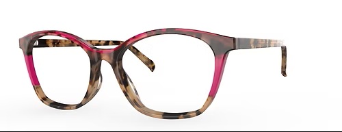 BLONDE RED TORTOISE