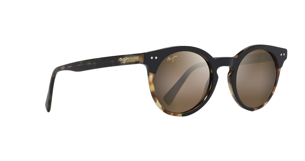 Tortoise / HCL® BRONZE