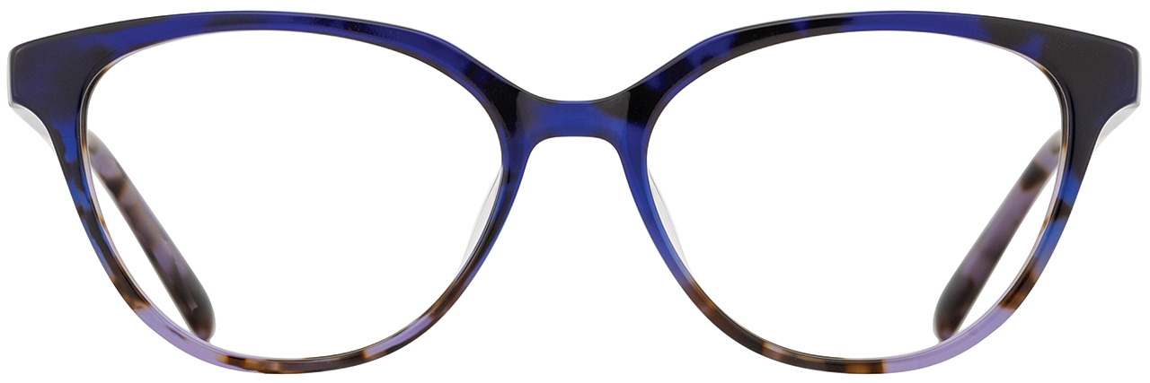 Indigo Tortoise