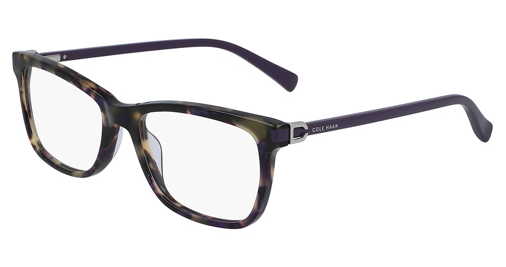PURPLE TORTOISE