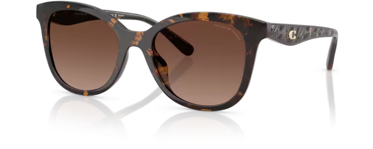 DARK TORTOISE / BROWN GRADIENT POLAR