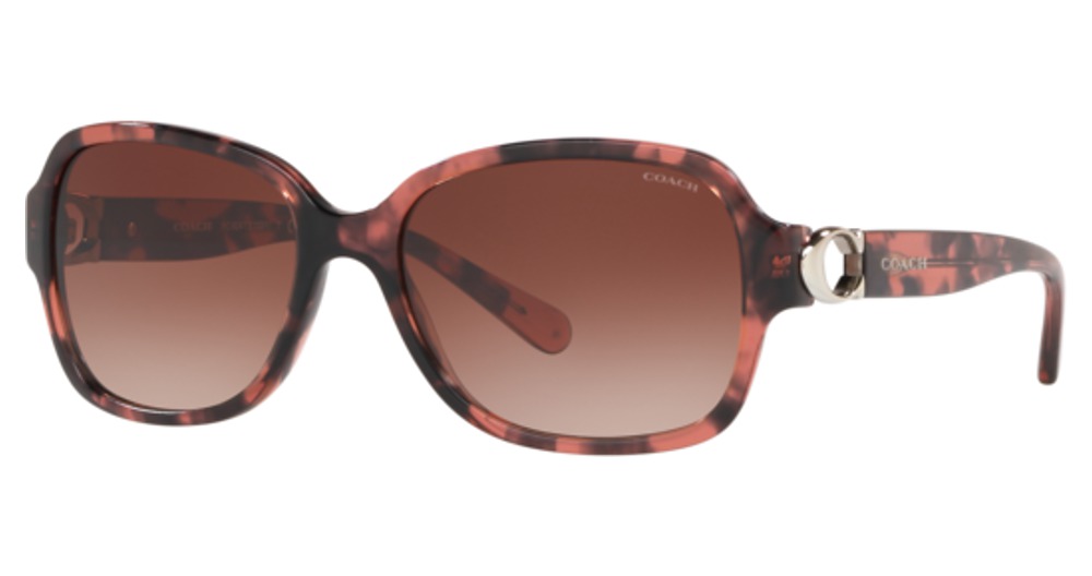PINK TORTOISE / Brown Gradient