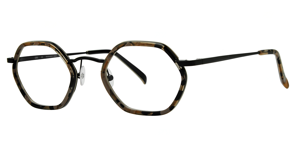 BLACK TORTOISE
