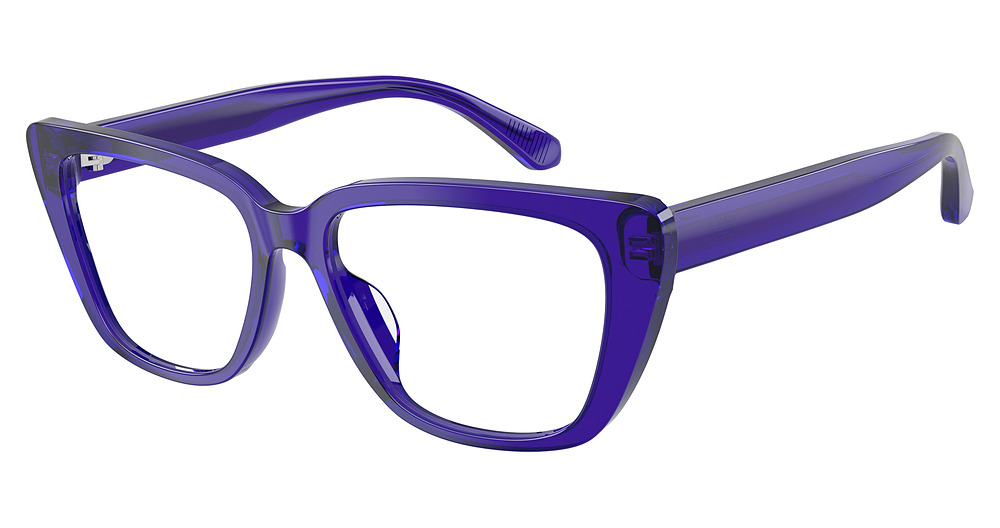 SHINY TRANSPARENT PURPLE