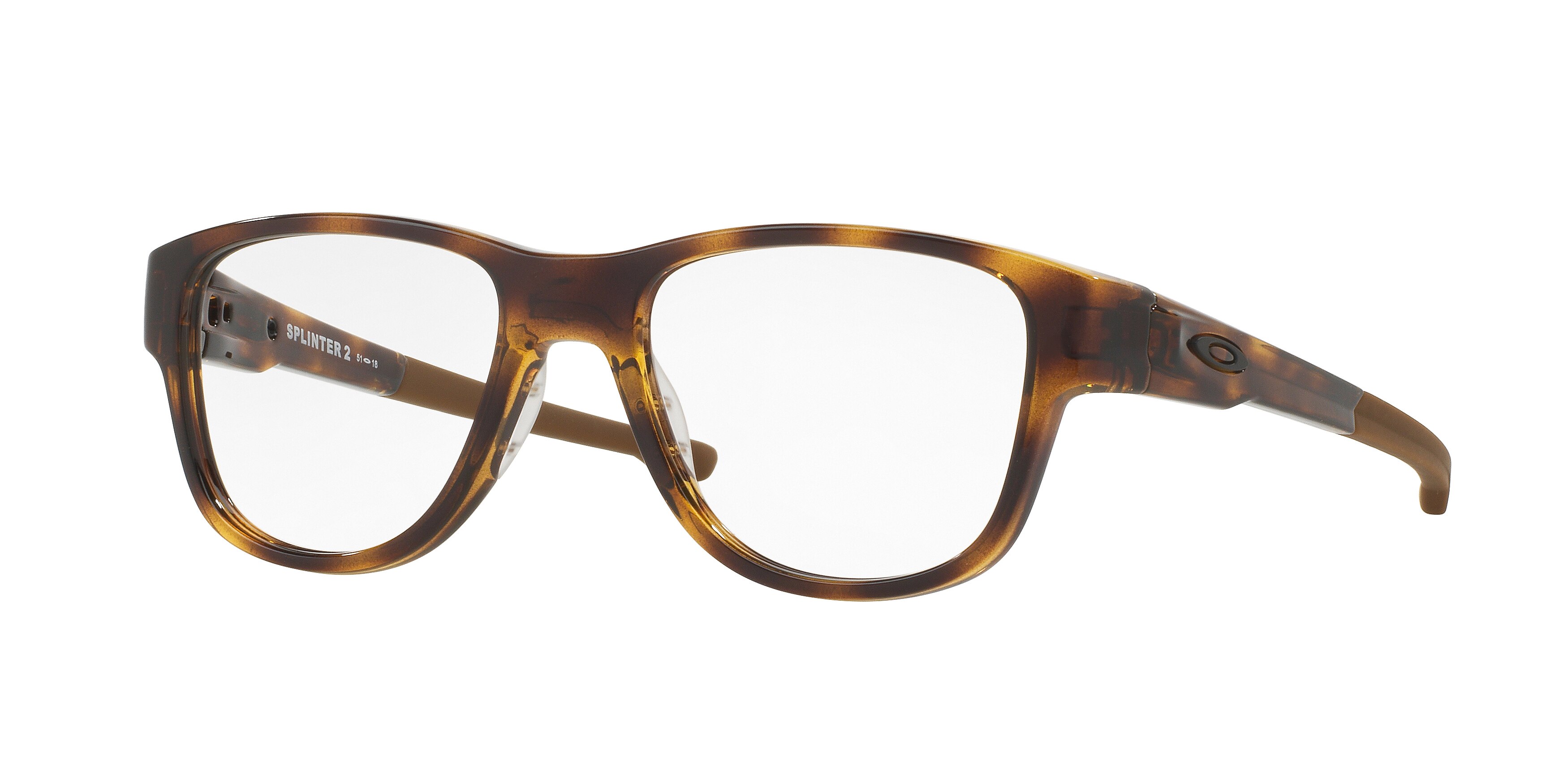 POLISHED TORTOISE
