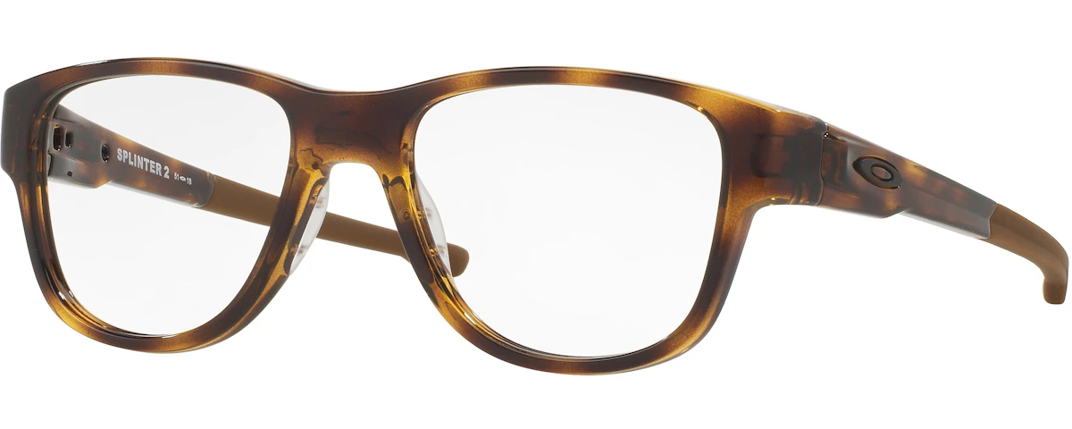 POLISHED TORTOISE