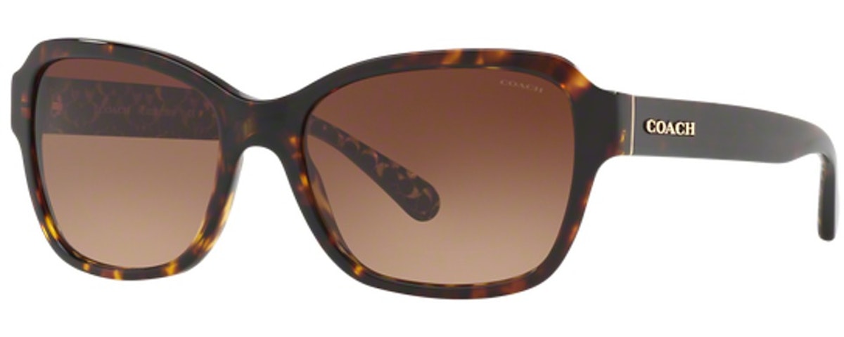 DARK TORTOISE / BROWN GRADIENT