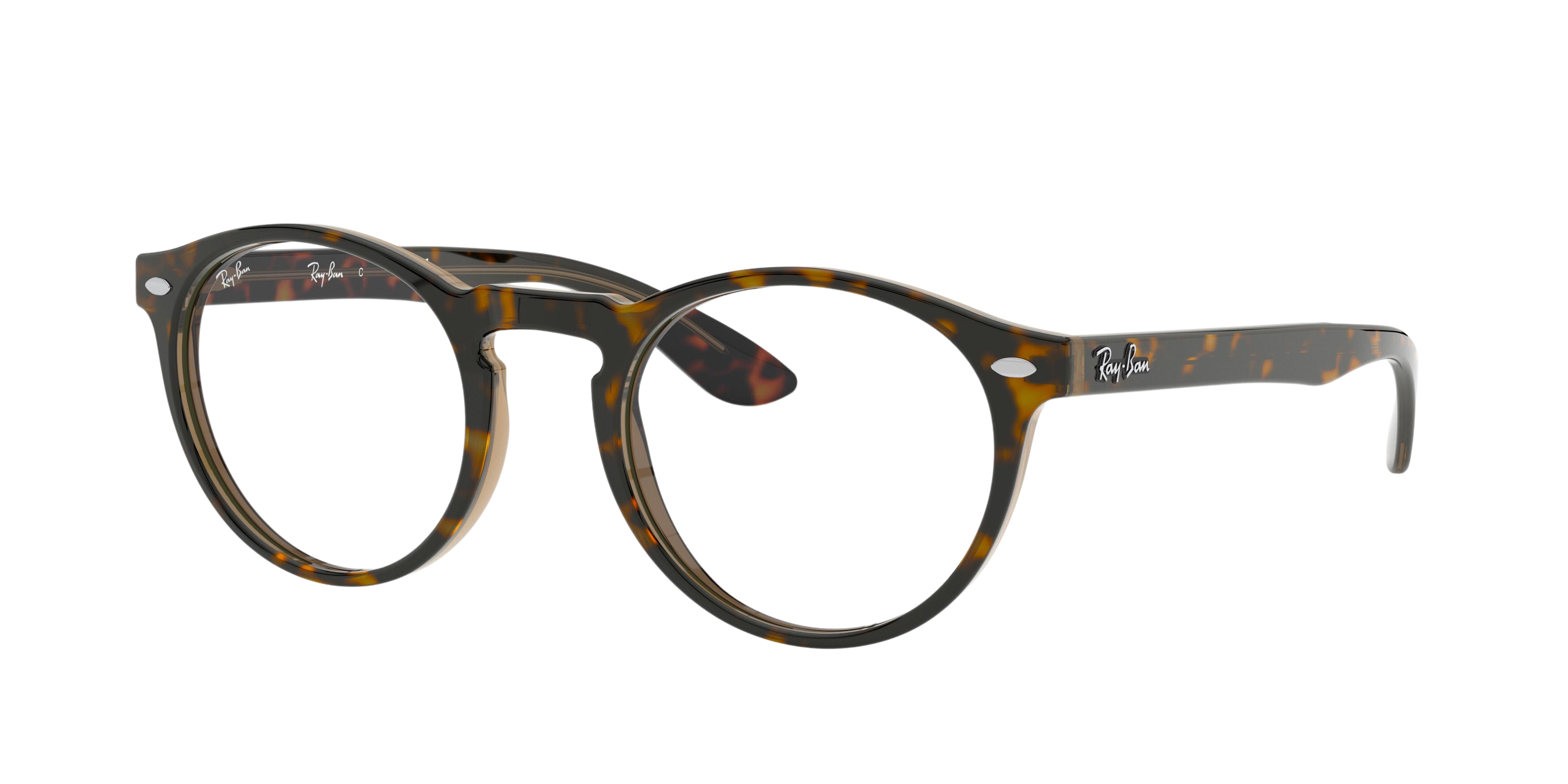 Ray-Ban RX5283 round eyeglasses in Havana on Top Trasp Brown