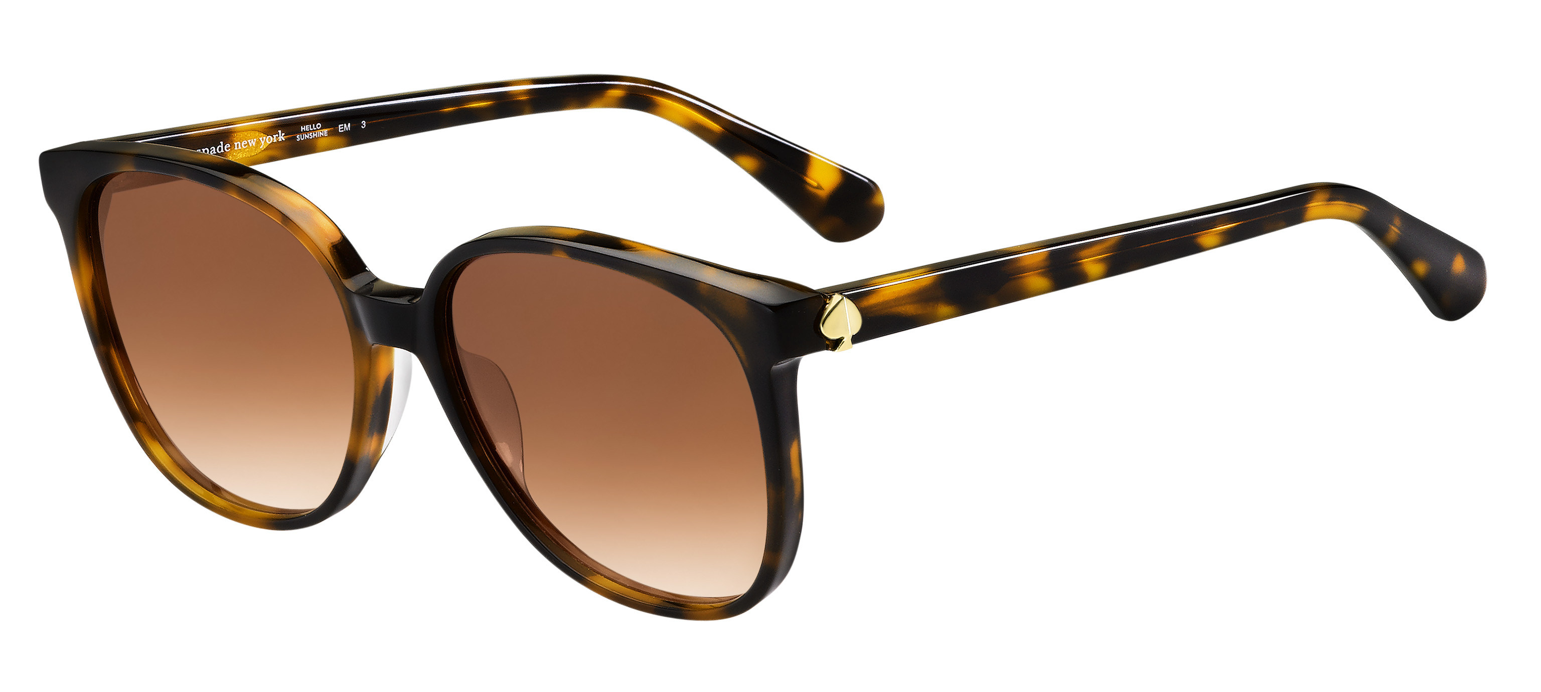 Kate Spade Alianna/G/S square sunglasses in Dark Havana (Ha Brown Gradient)