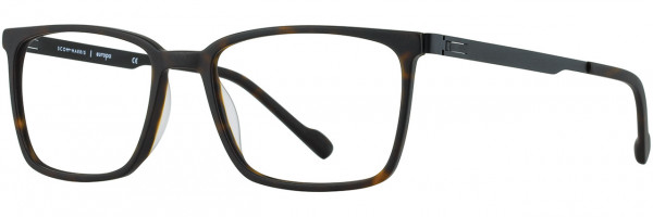 Dark Tortoise/Black