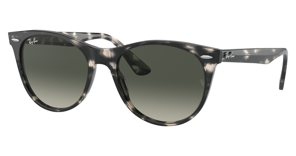 Ray-Ban RB2185 WAYFARER II round sunglasses in Grey Havana/Grey Gradient