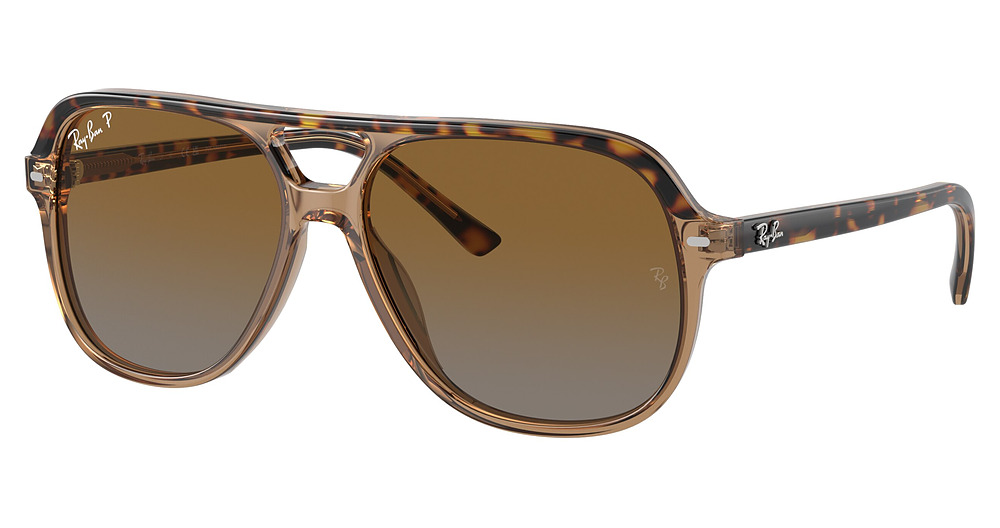 HAVANA ON TRANSPARENT BR / GREY GRADIENT BROWN POLAR