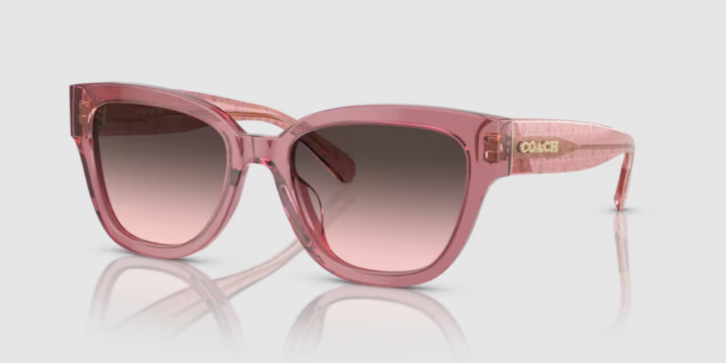 TRANSPARENT BERRY / GREY PINK GRADIENT