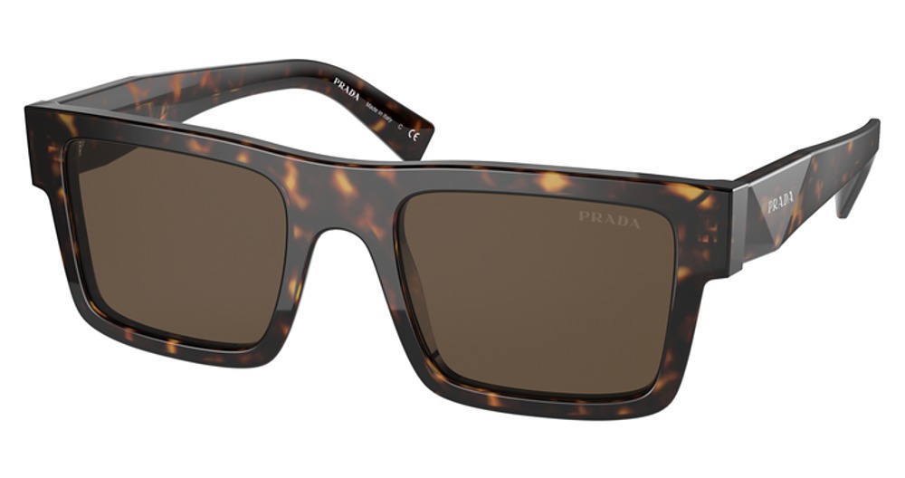 TORTOISE / DARK BROWN