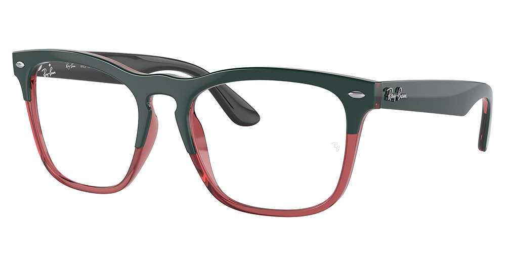 Ray-Ban RX4487VF STEVE round eyeglasses in Dark Green on Transparent Ligh