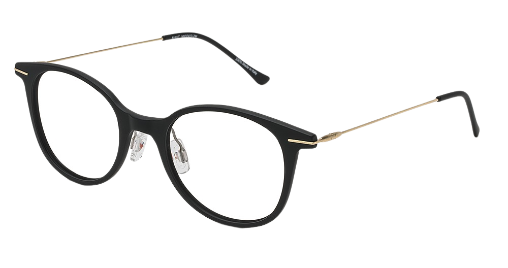 Black Matte with Gold Temples