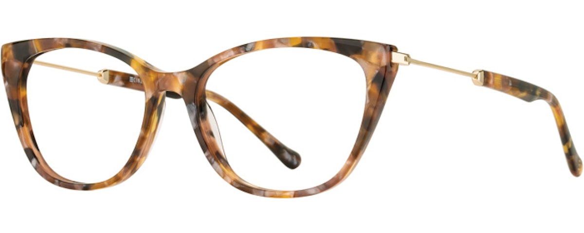 Shell Tortoise / Gold