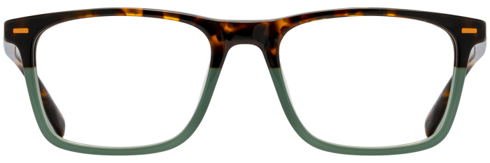 Tortoise / Fir / Orange