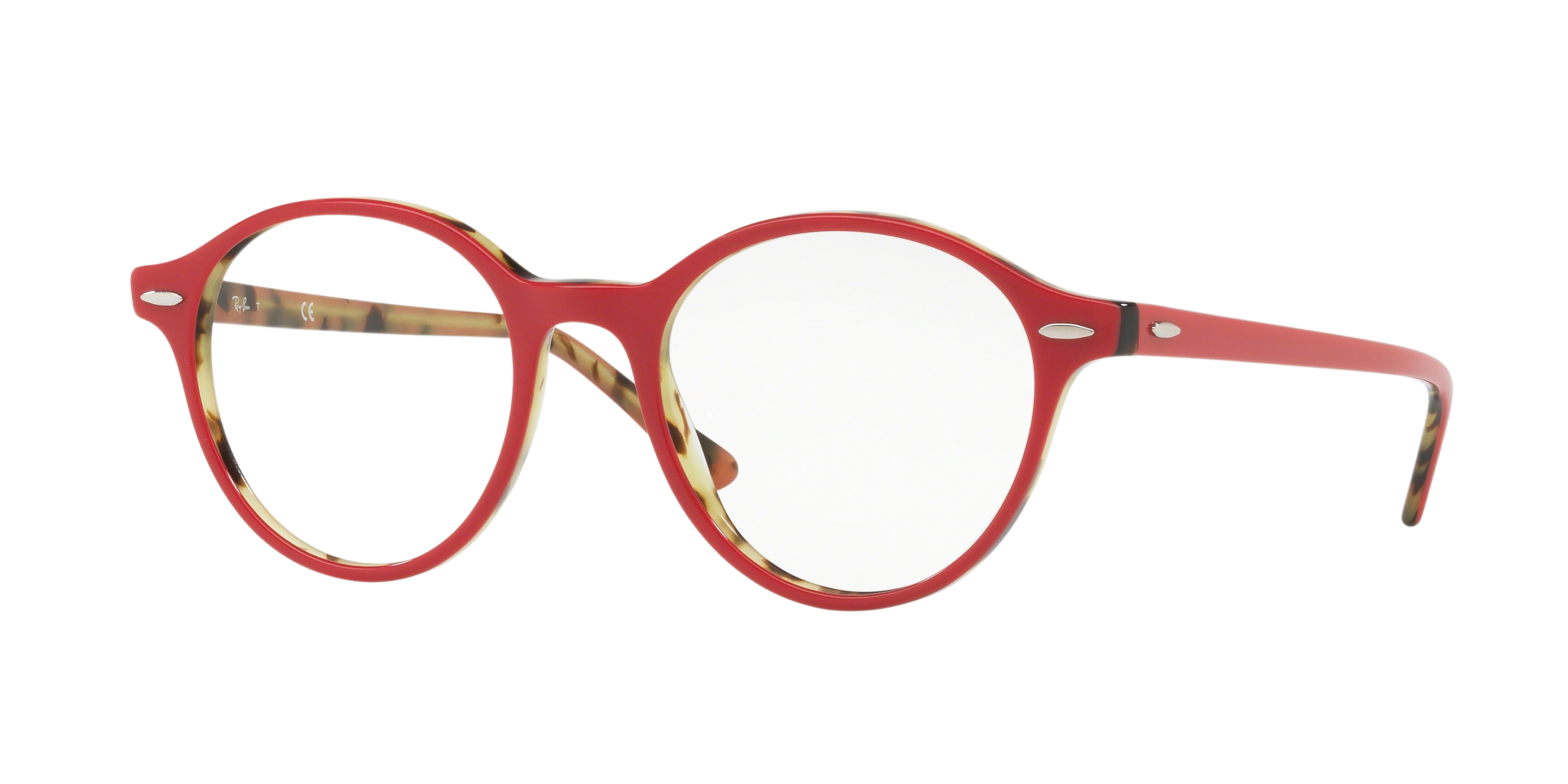 Ray-Ban RX7118 round eyeglasses in Top Bordeaux on Havana Green